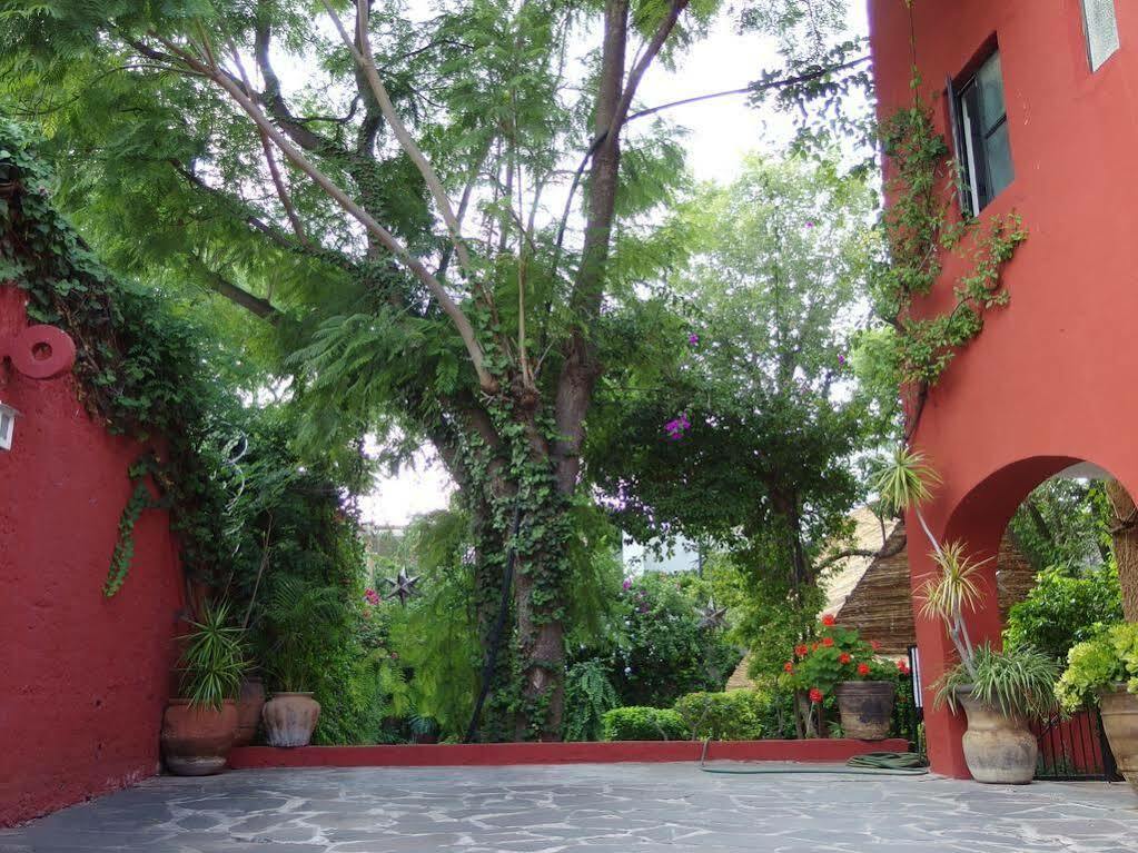 Casa De Las Conservas Comfort San Miguel de Allende Exterior photo